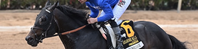 Knightsbridge, Lush Lips triumph on Gulfstream undercard