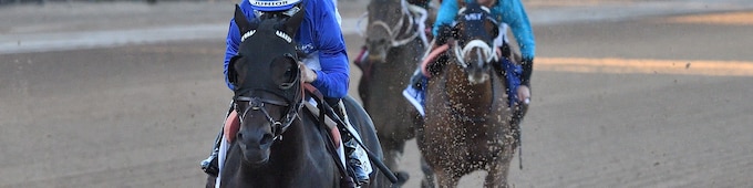 Knightsbridge romps in Mr. Prospector; Sovereignty to race on