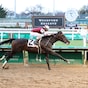 Liberty National, Mesquite, among eight in Gun Runner; Hit Parade tops Untapable