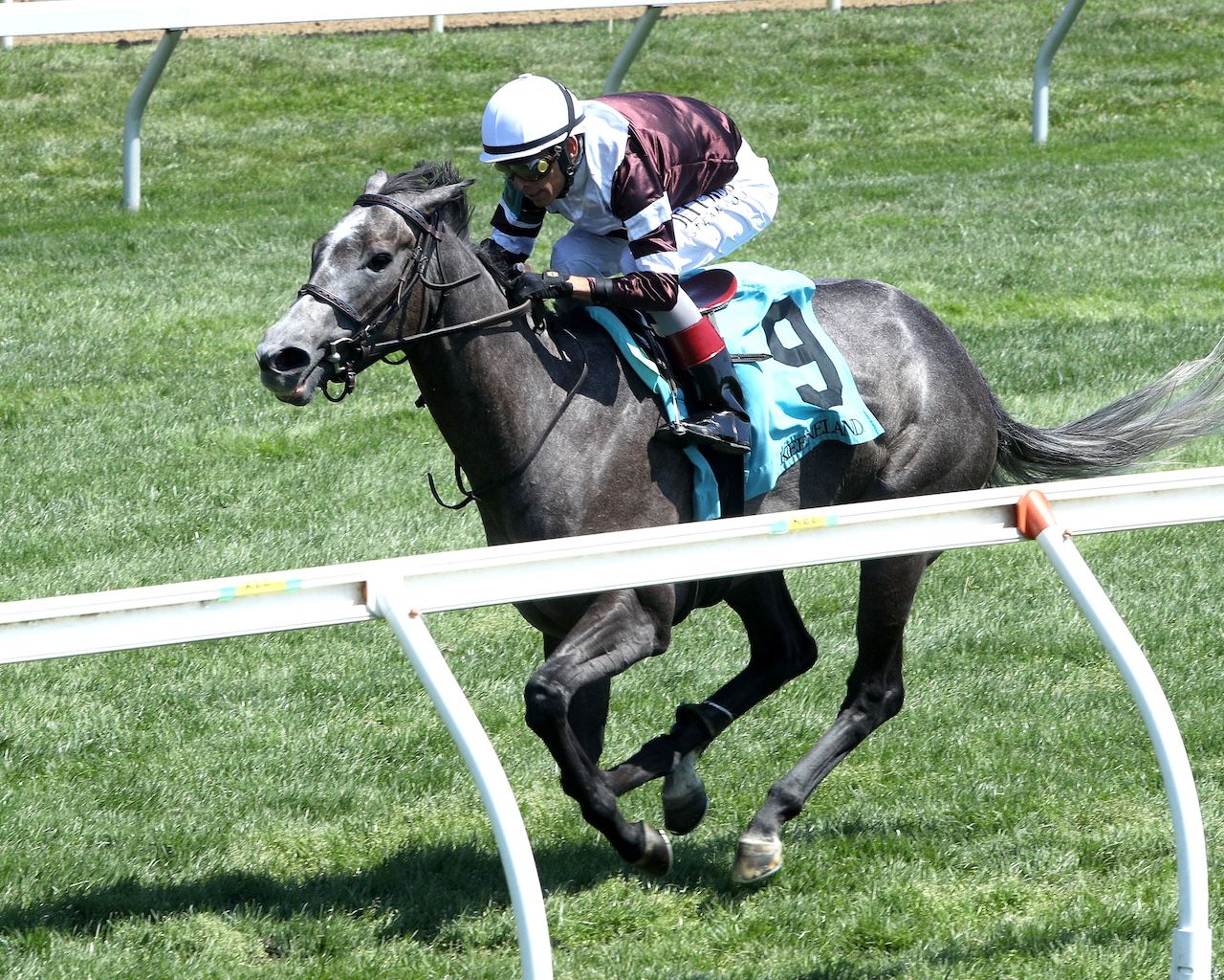 Luster wins at Keeneleand.