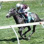 Luster heavily favored to land King's Plate