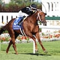 Lagynos extends winning streak to four in Arlington