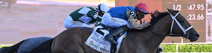 Inexperience no hurdle for Leading Change in Travers