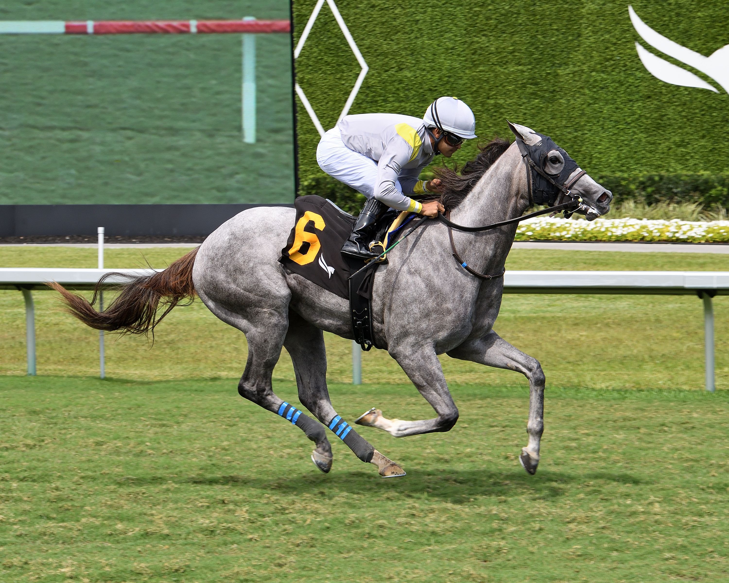 Lennilu romps in the Royal Palm Juvenile Fillies