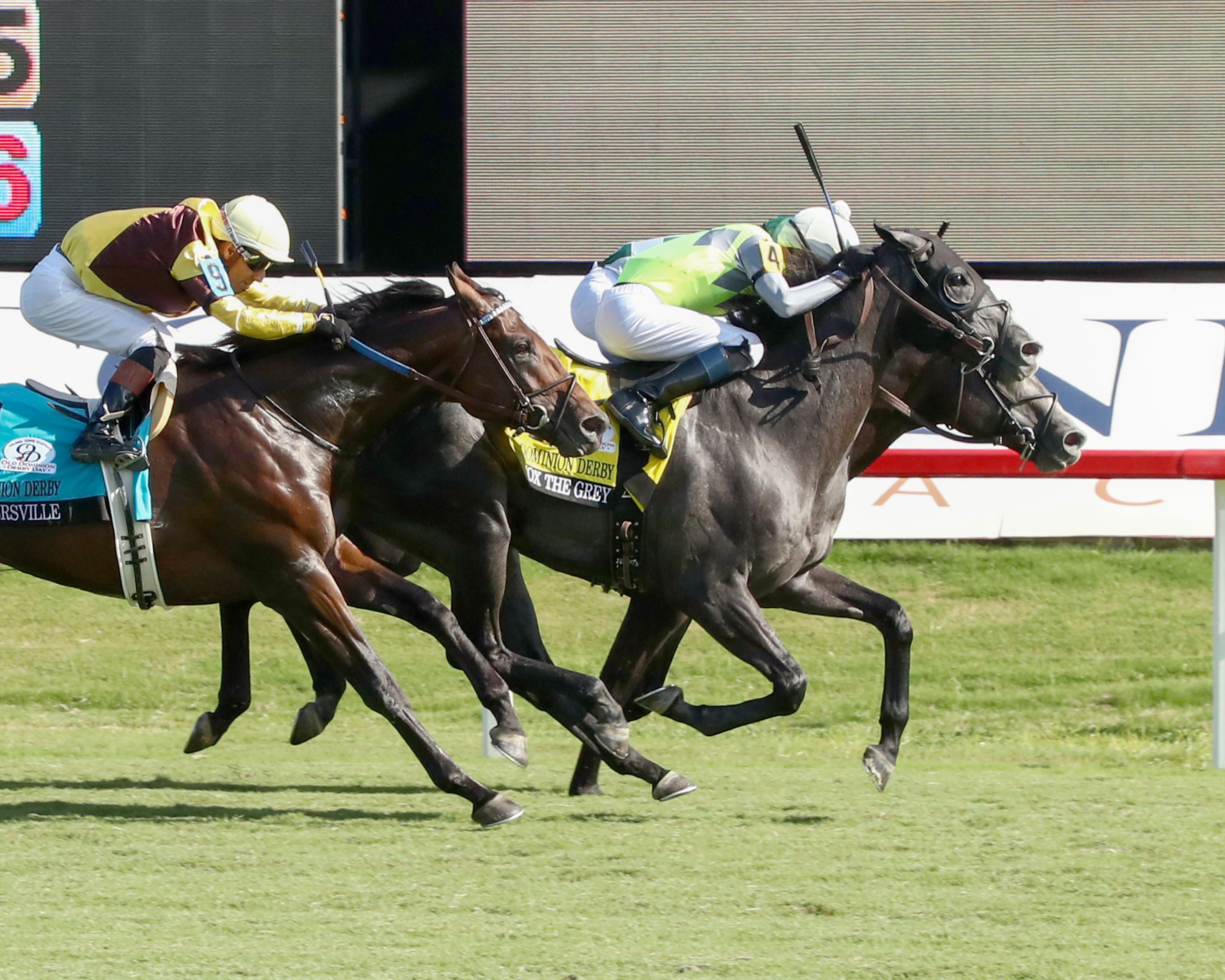 Lennox the Grey wins the Old Dominion Derby (G3) at Colonial Downs.