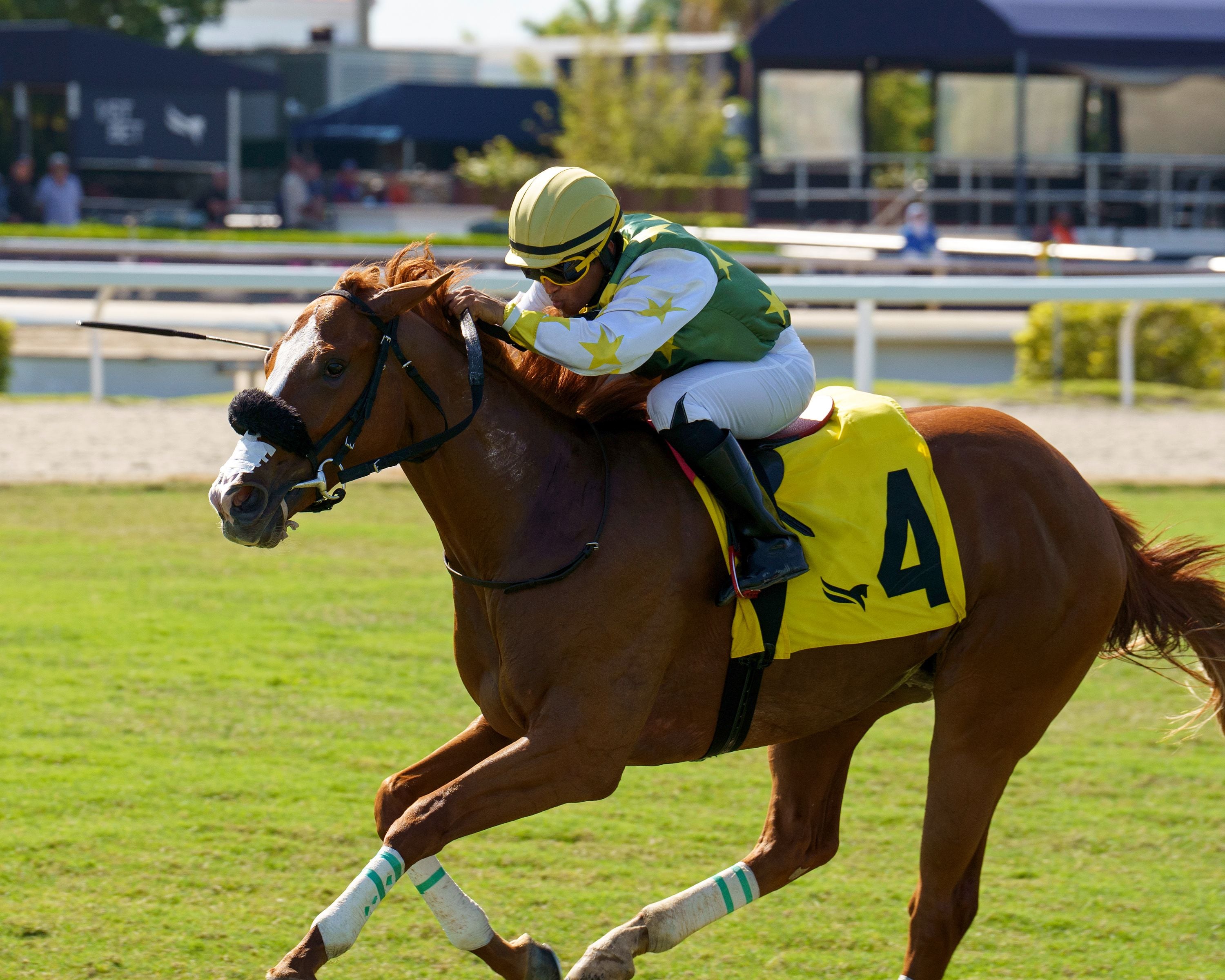 Liberty Rings wired the Royal Palm Juvenile Fillies