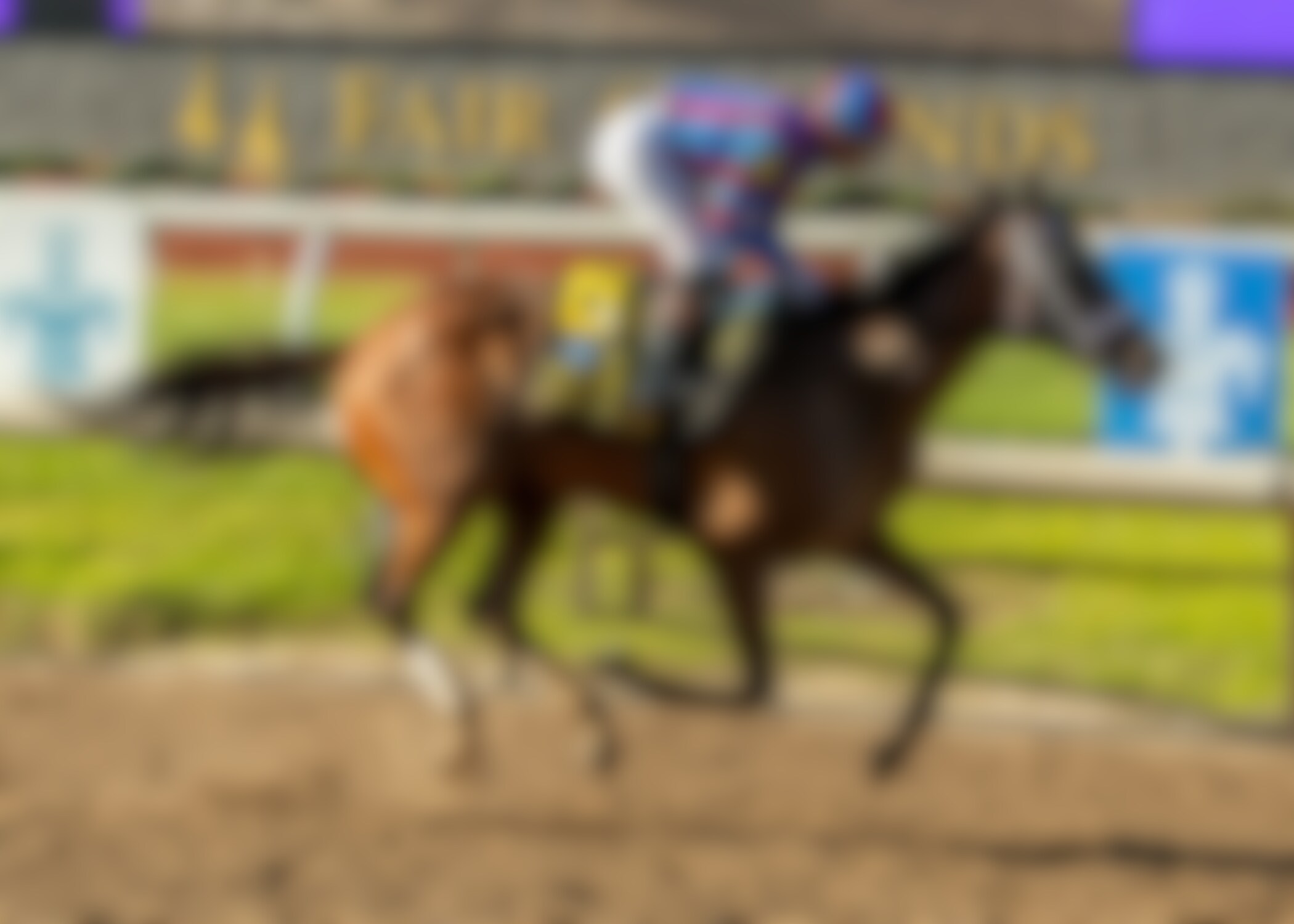 Life of Joy wins the Fair Grounds Oaks at Fair Grounds. 