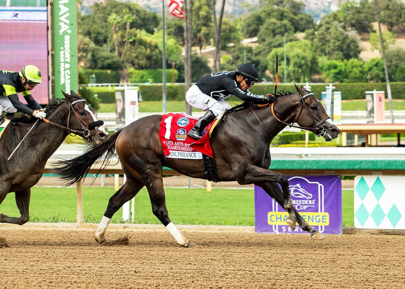 Listenupshance held off familiar foe Maximum Bourbon in the Santa Anita Sprint Championship (G2)