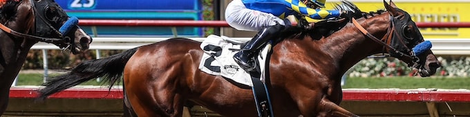 Litmus Test heads Baffert trio in Los Alamitos Futurity
