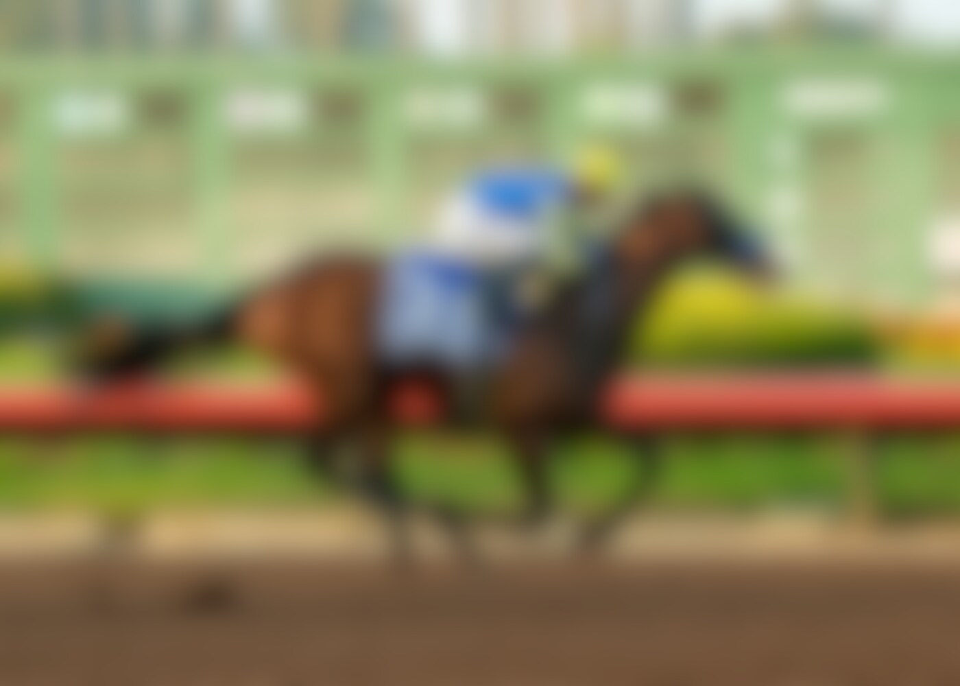 Litmus Test justified 3-5 favoritism in the Los Alamitos Futurity (G2)