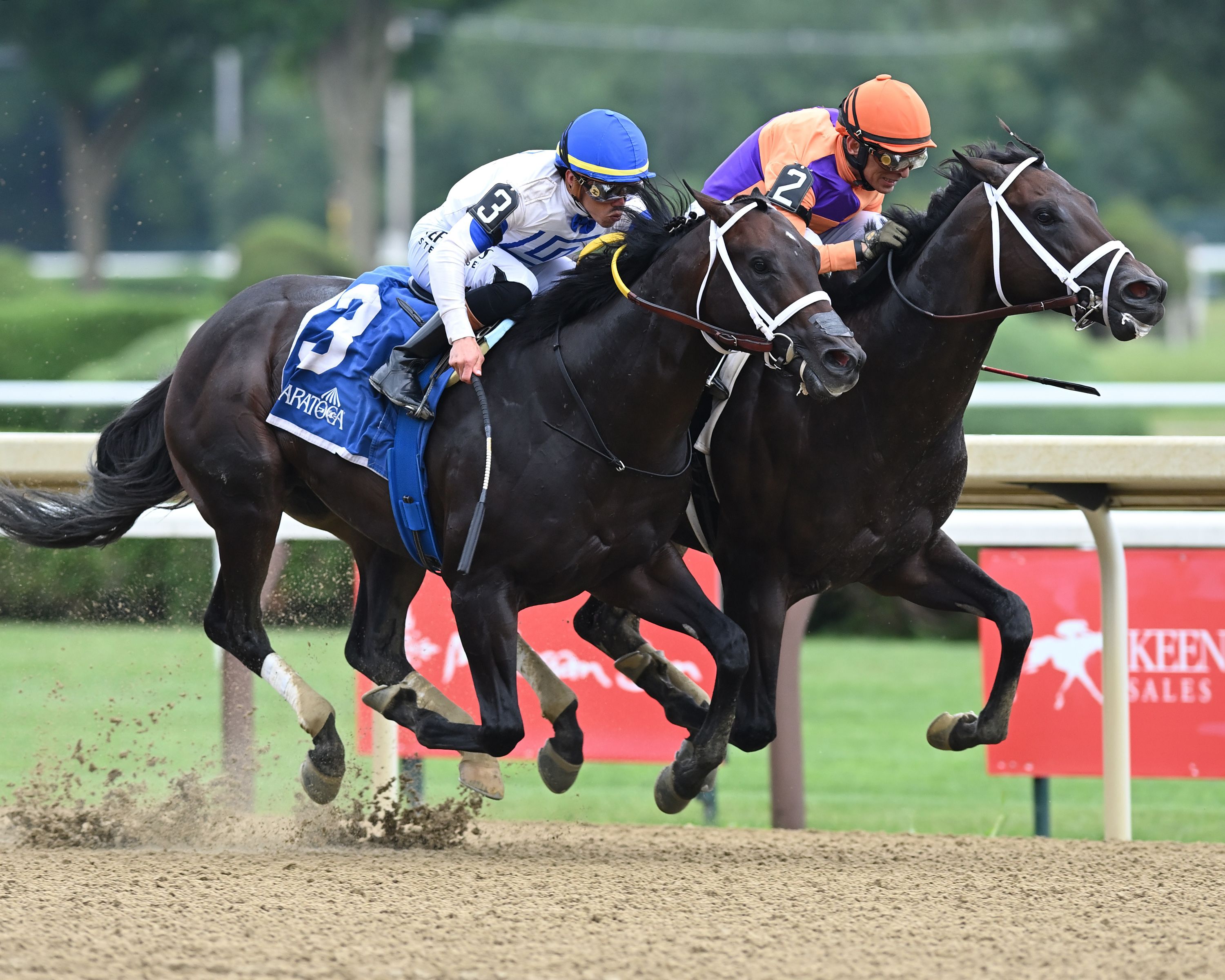 Local Knowledge (inside) prevails over Solitude Dude in the Amsterdam (G2)