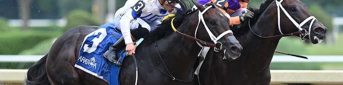 Local Knowledge digs deep for Velazquez in Amsterdam