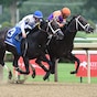 Local Knowledge digs deep for Velazquez in Amsterdam