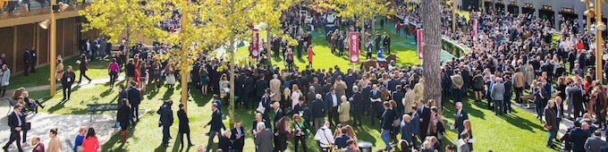 Puerto Rico, Maranoa Charlie among BC WAYI heroes on Arc Day