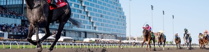Luster brilliant in King’s Plate