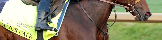 Champions Cup: Luxor Cafe gets rematch with Narukami