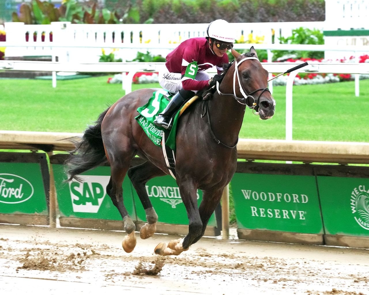 Magnitude wins the Stephen Foster Stakes (G1) at Churchill Downs.