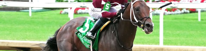 Magnitude makes all in rich Stephen Foster