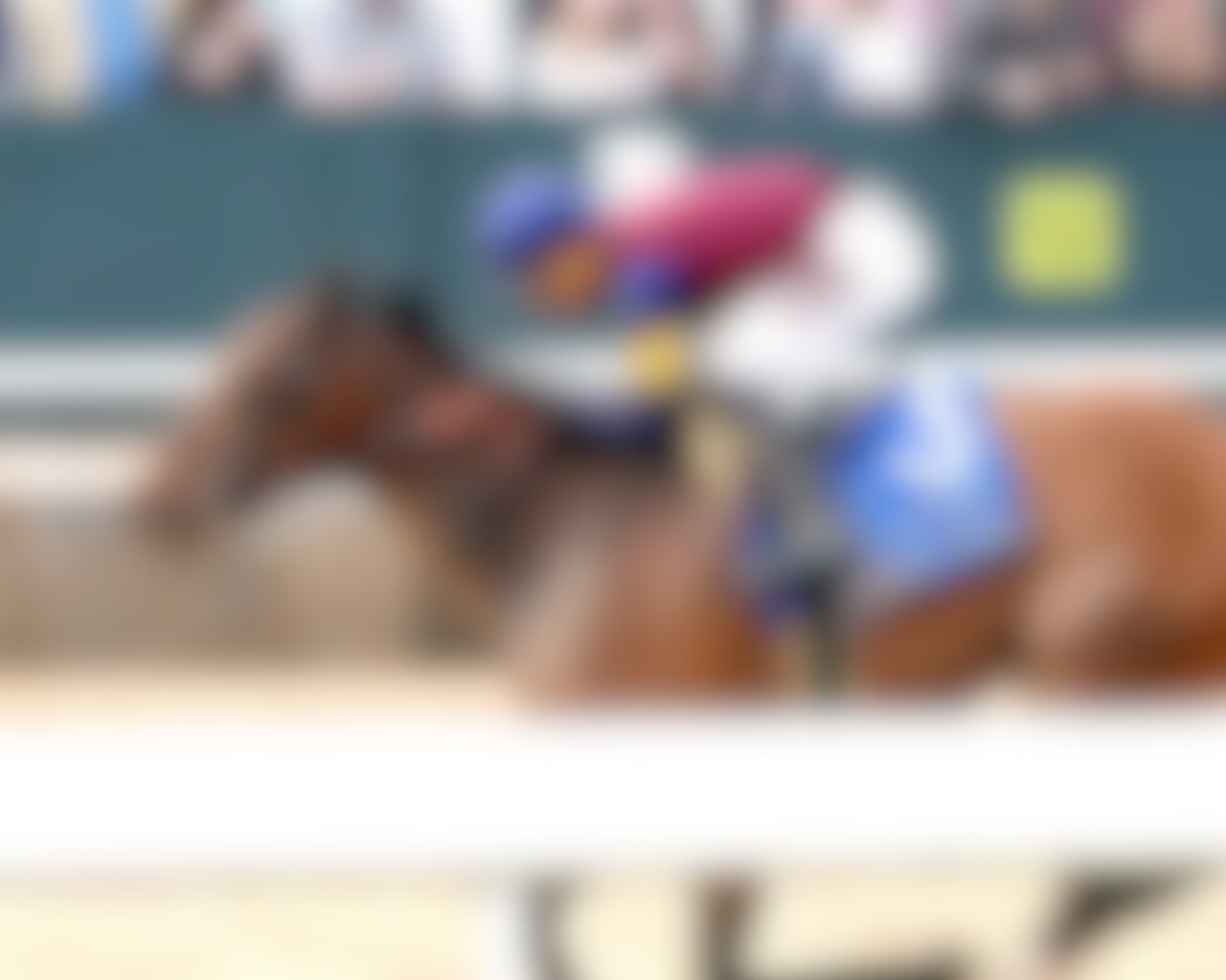 Majestic Oops wins the Azeri Stakes at Oaklawn Park.