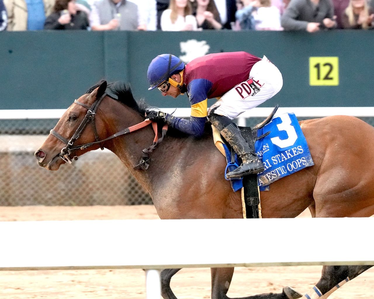 Majestic Oops wins the Azeri Stakes at Oaklawn Park.