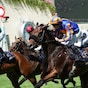 Ten Bob Tony, Mission Central star on Royal Ascot Day 1