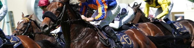 Ten Bob Tony, Mission Central star on Royal Ascot Day 1