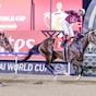 Front-running Magnitude rocks Dubai World Cup