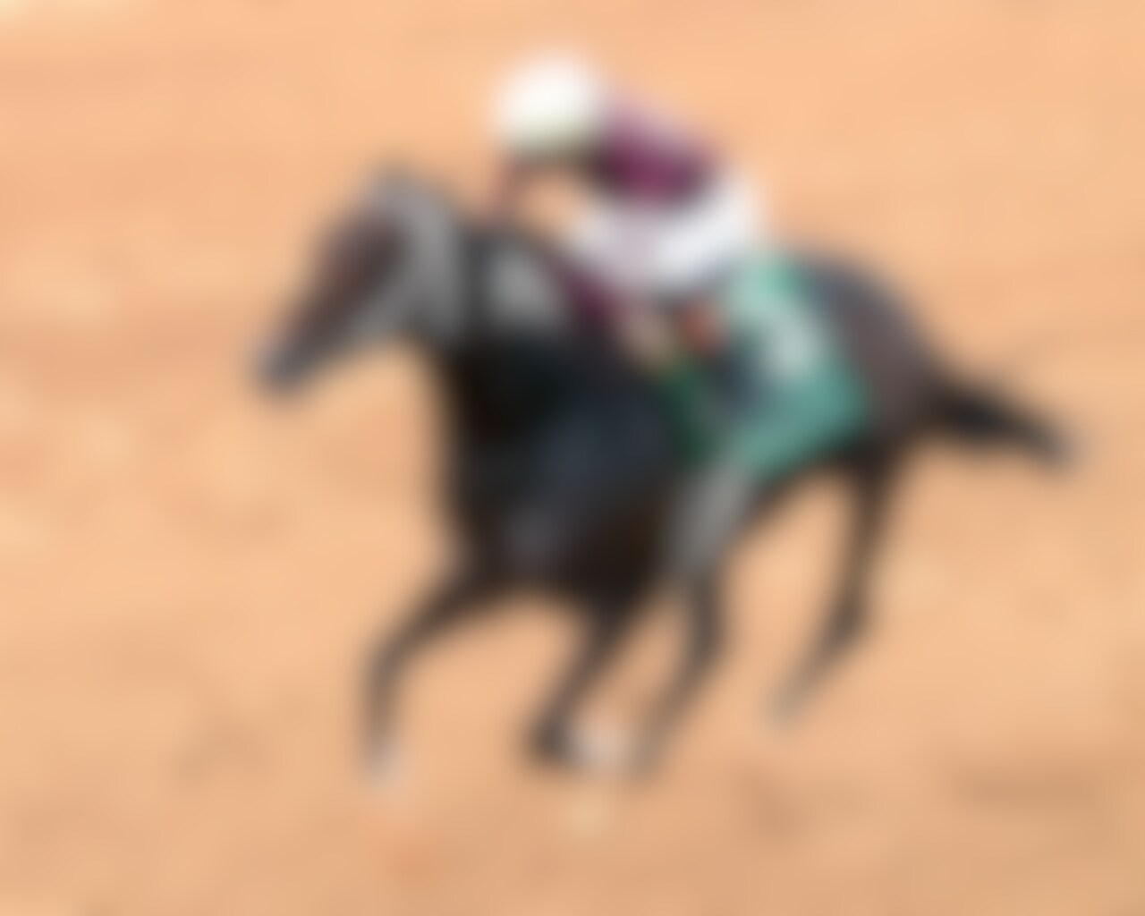 Magnitude wins the Razorback Handicap at Oaklawn Park. 