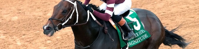 Magnitude targets Dubai after winning Razorback