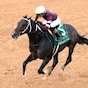Magnitude targets Dubai after winning Razorback