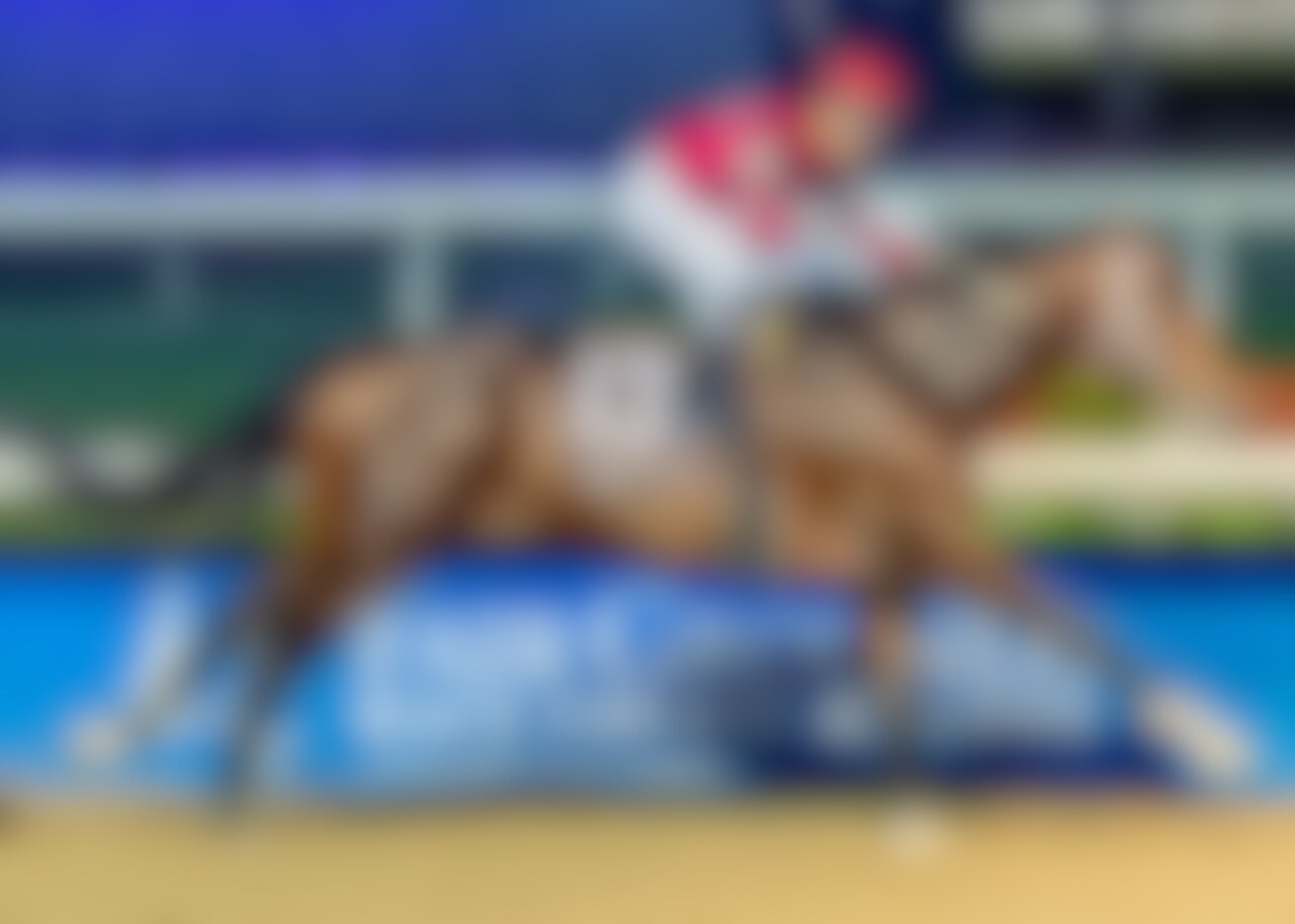 Magnitude wins the Risen Star at Fair Grounds. 