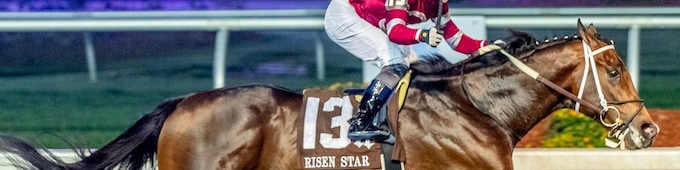 Magnitude returns to action in Razorback