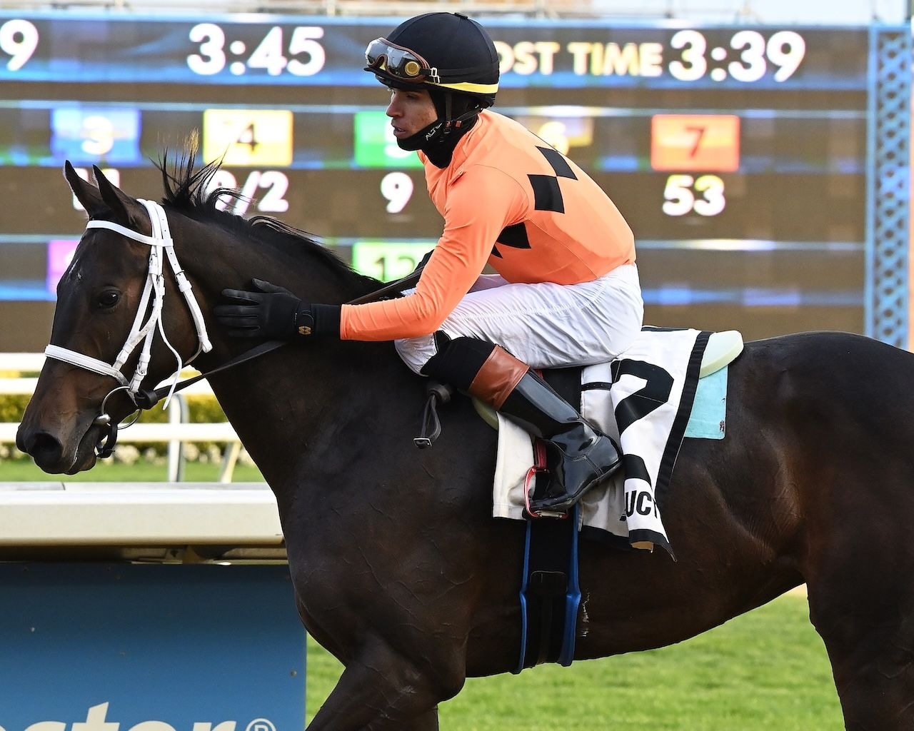 Derby, Oaks points up for grabs at Turfway