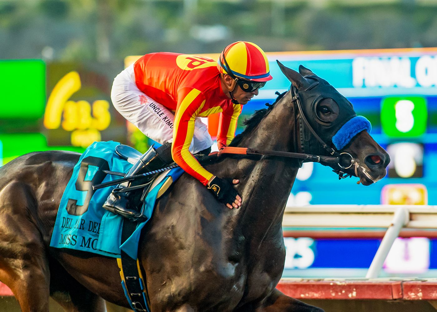 Del Mar Debutante (G1) romper Miss Monica gets a congratulatory pat from jockey Juan Hernandez