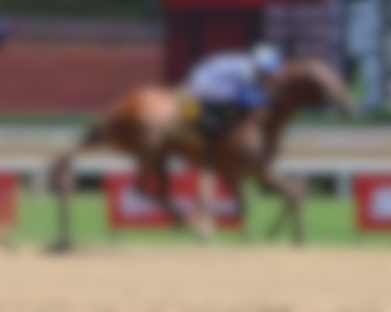 My Guns Loaded wins the Alabama at Saratoga. 