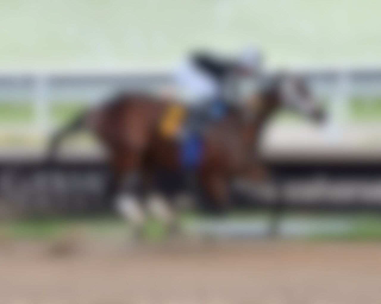 My Miss Mo wions at Gulfstream Park. 
