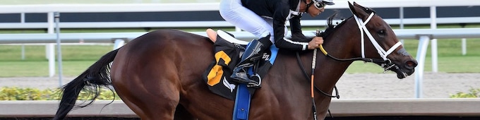 My Miss Mo draws widest in Black-Eyed Susan at Laurel