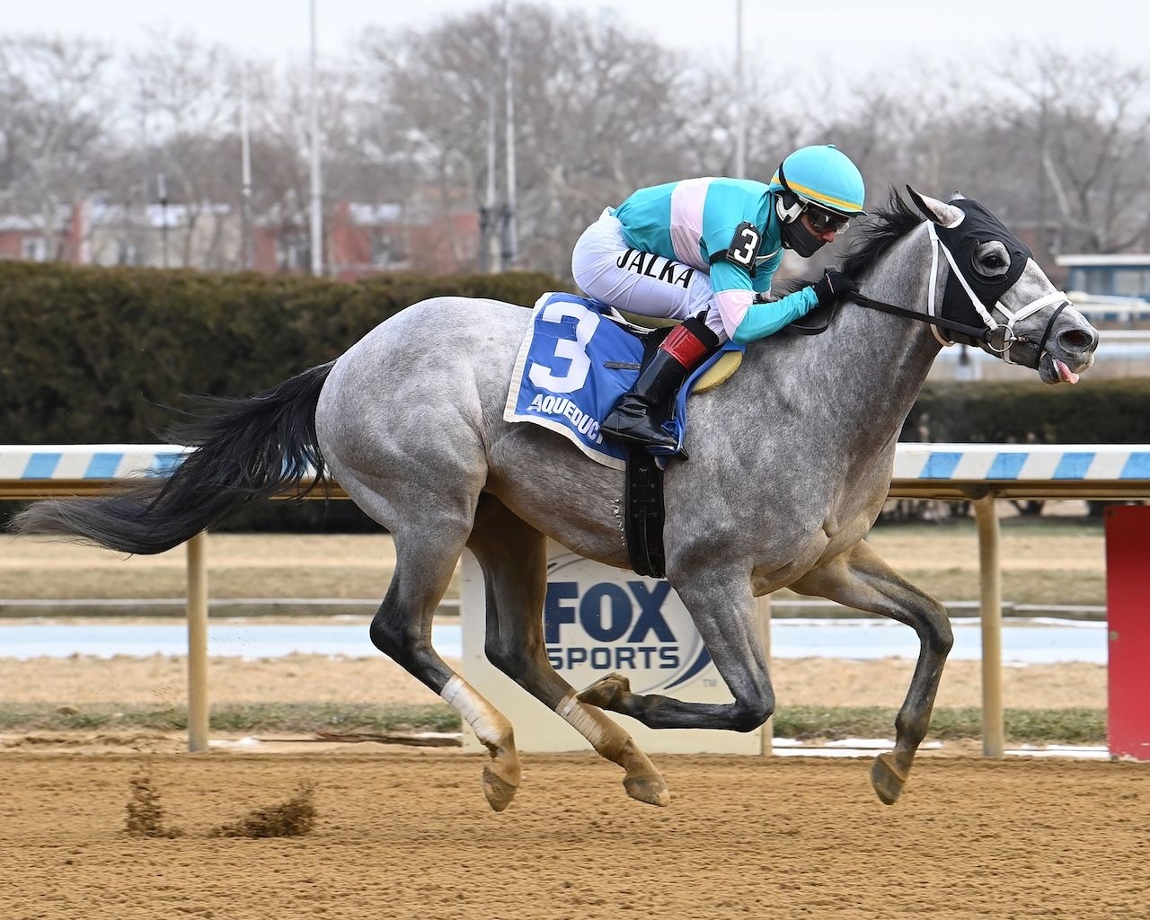 My World wins the Jerome Stakes at Aqueduct.