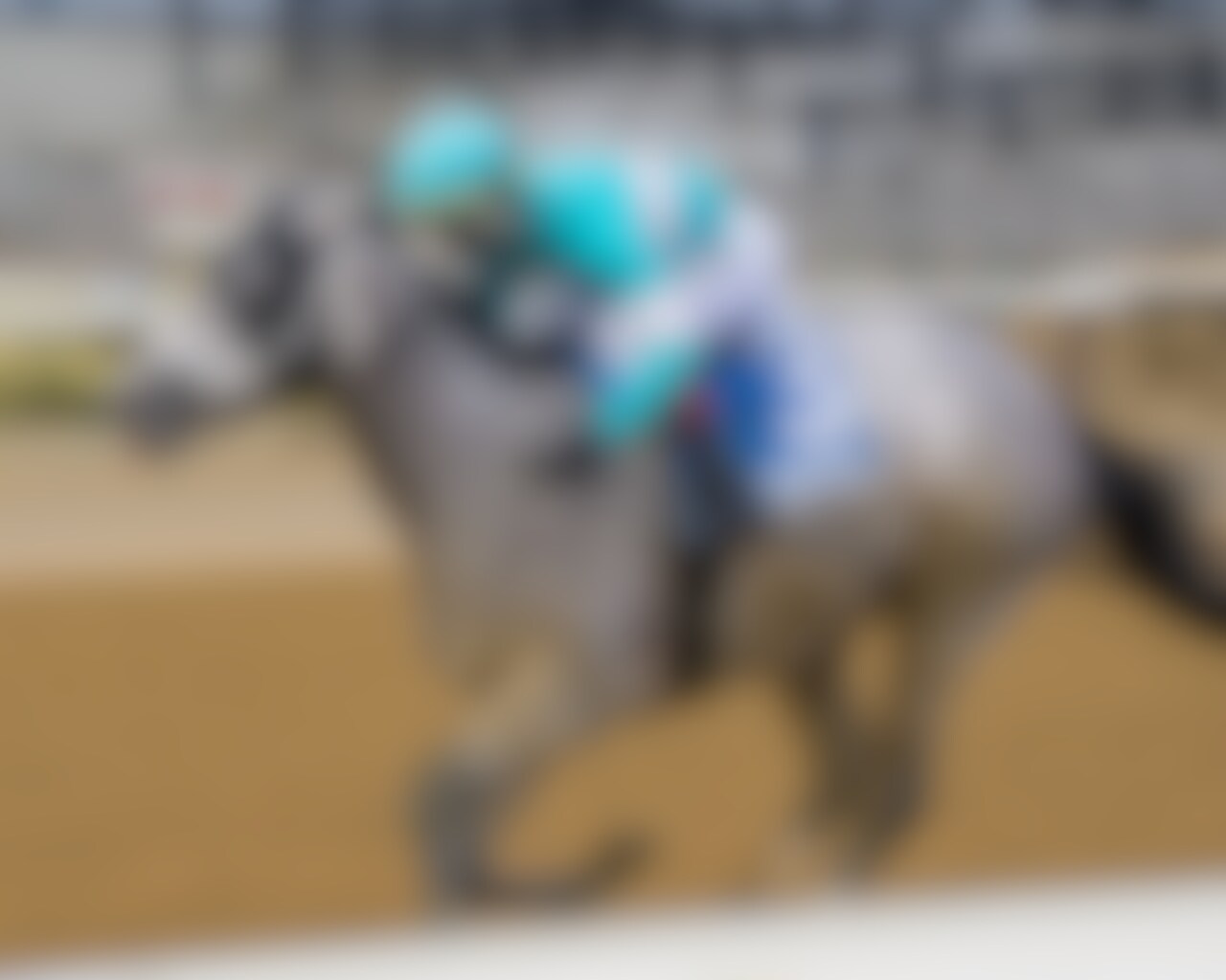 My World wins the Jerome Stakes at Aqueduct.