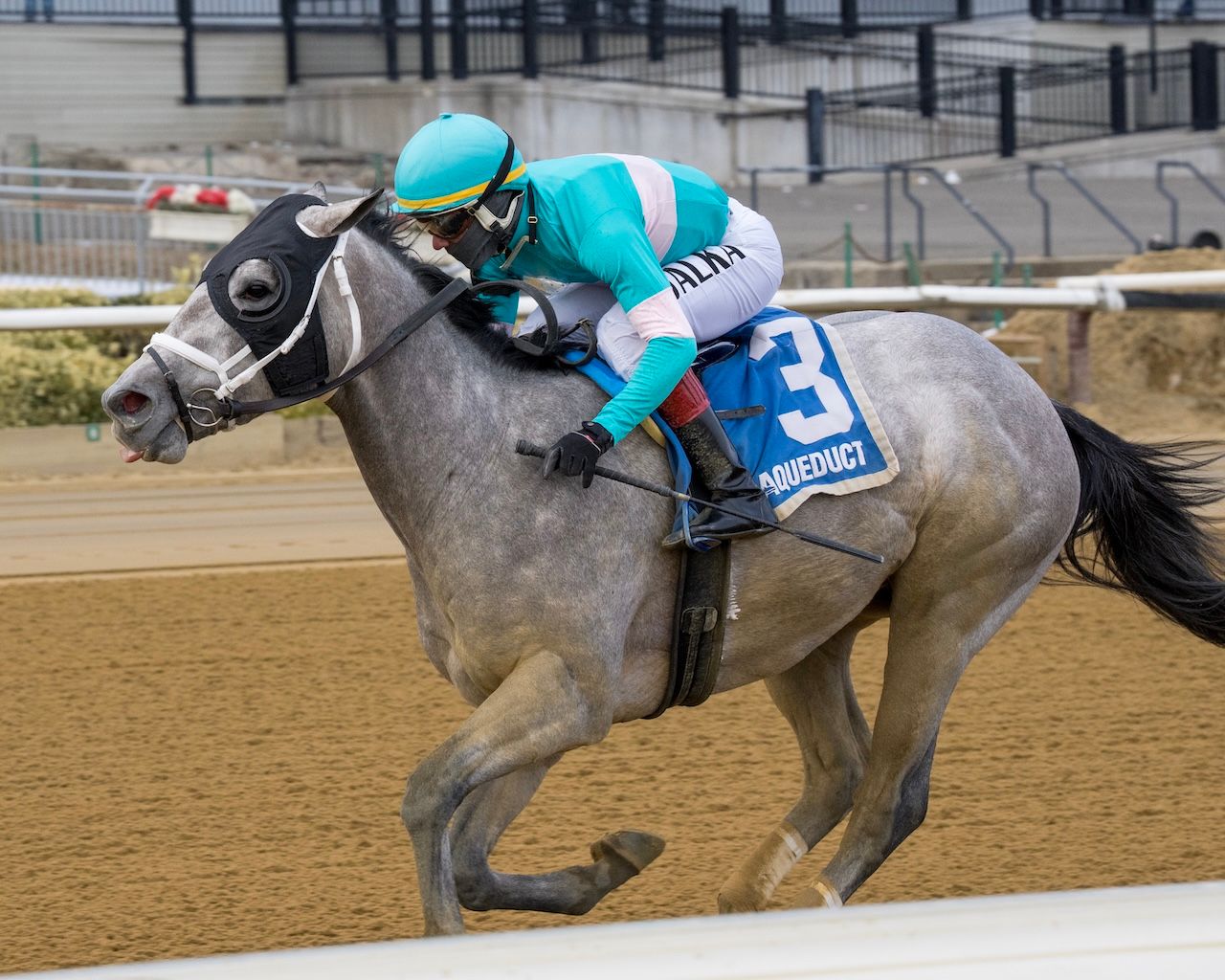 My World wins the Jerome Stakes at Aqueduct.