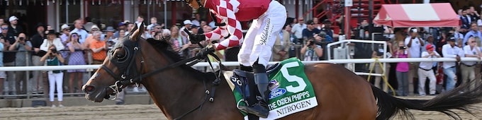 Nitrogen back on track in Phipps romp
