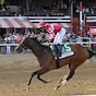 Nitrogen back on track in Phipps romp