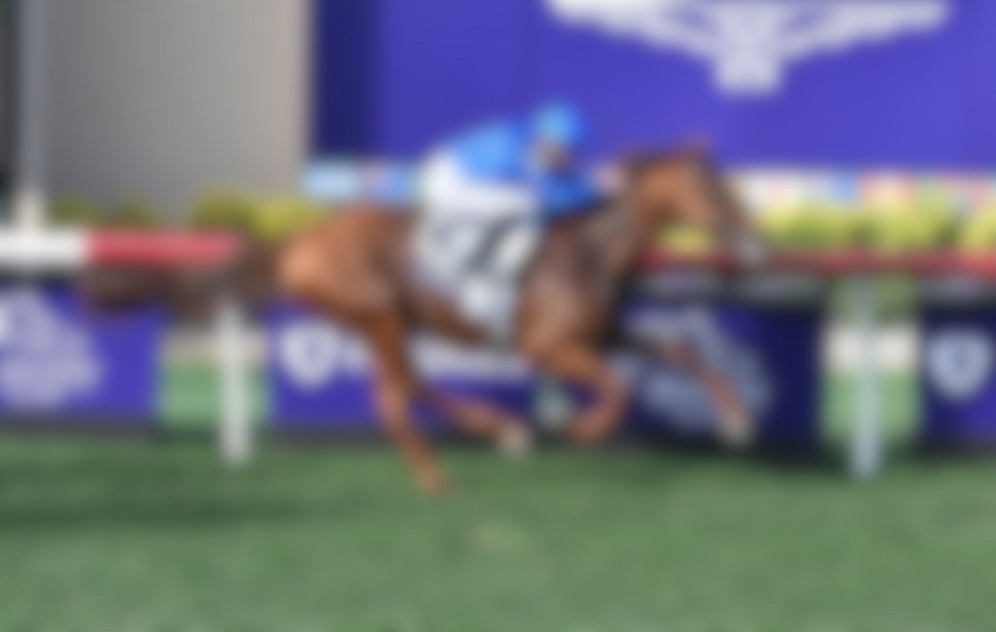 Notable Speech winning the Breeders' Cup Mile (G1) at Del Mar