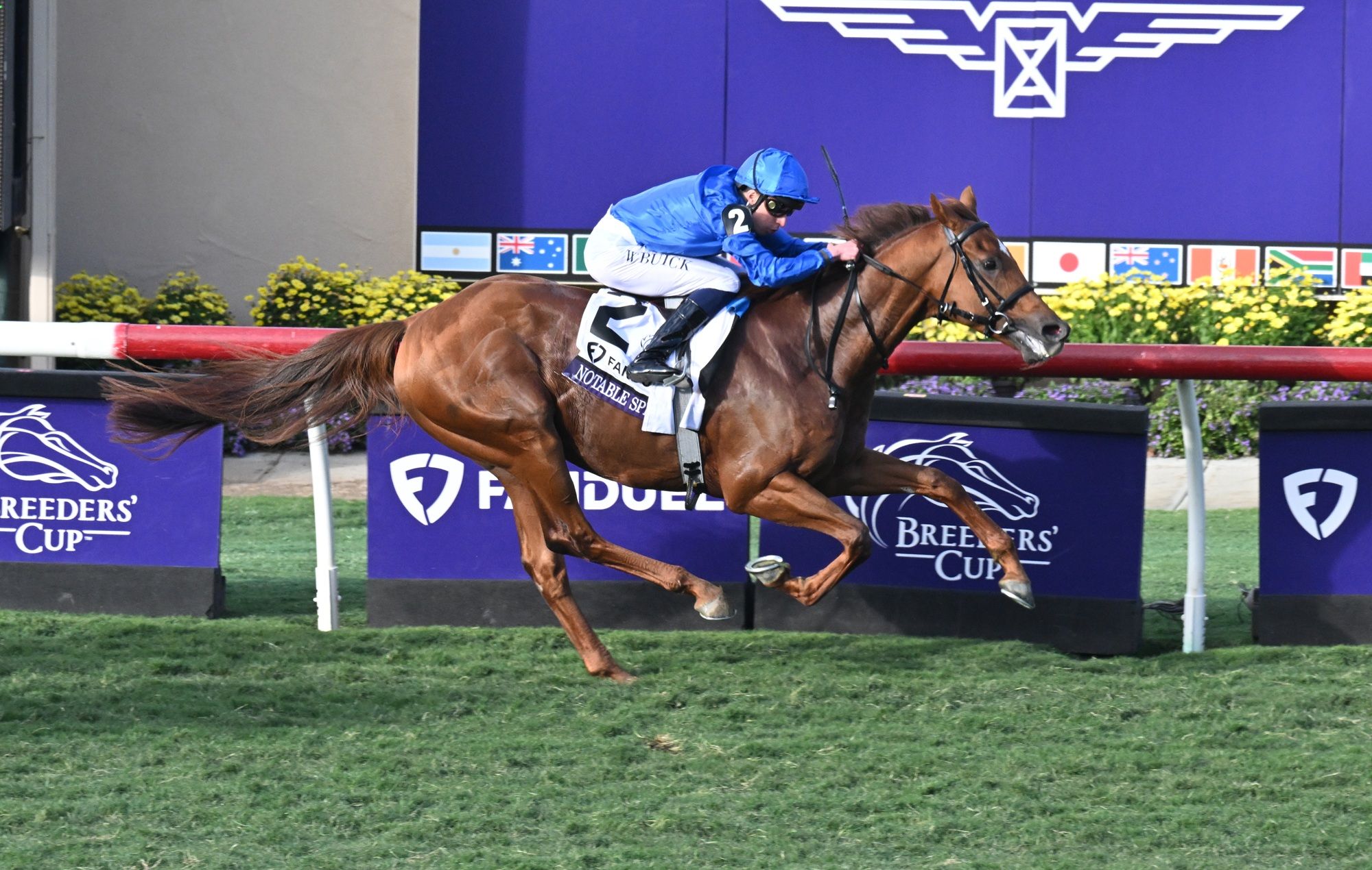 Notable Speech winning the Breeders' Cup Mile (G1) at Del Mar