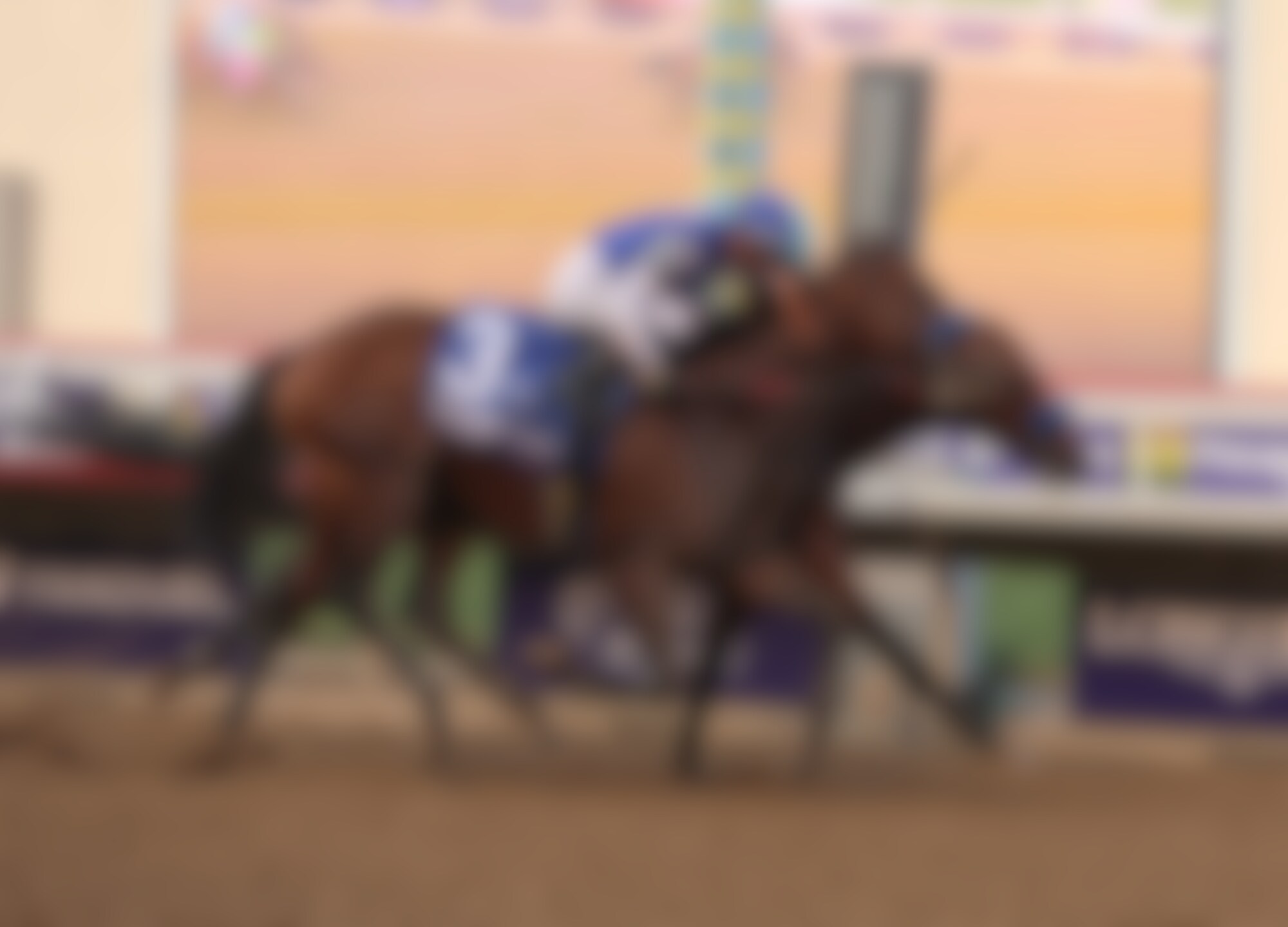 Nysos (outside) defeats Citizen Bull in Breeders' Cup Dirt Mile (G1) at Del Mar