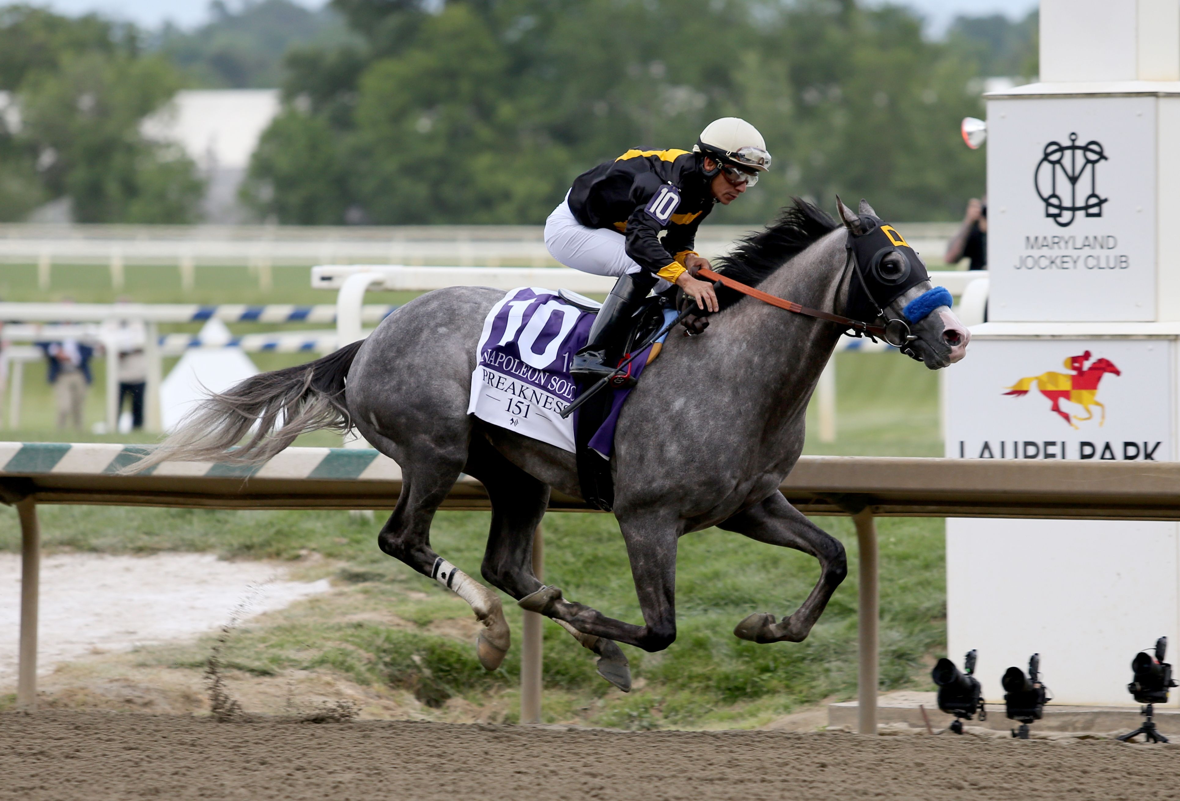 Napoleon Solo wins the 151st Preakness at Laurel Park (Photo by Horsephotos.com)