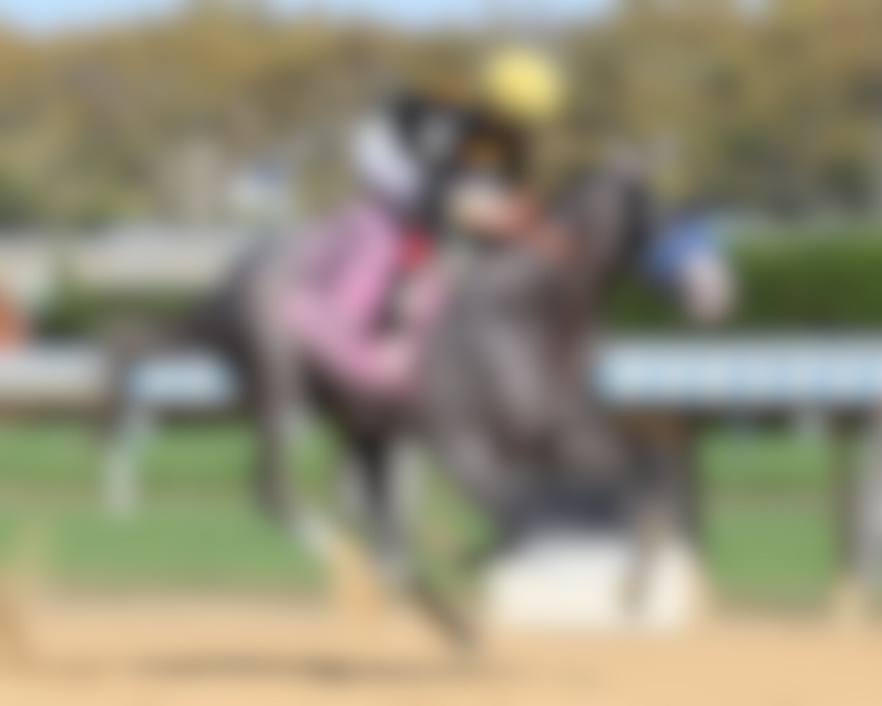 Napoleon Solo wins the Champagne Stakes at Aqueduct. 