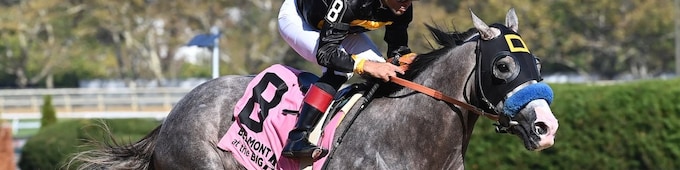 Napoleon Solo heads deep Fountain of Youth; On Time Girl tops Davona Dale