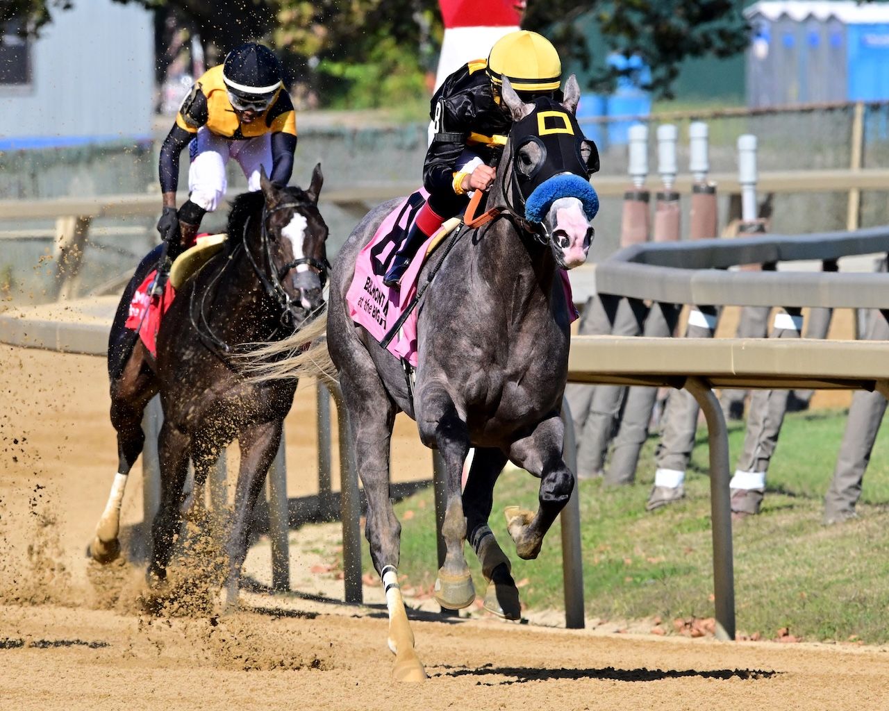 Napoleon Solo wins the Champagne Stakes at Aqueduct.