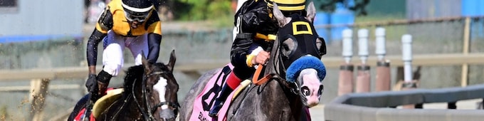 Champagne one-horse show for Napoleon Solo